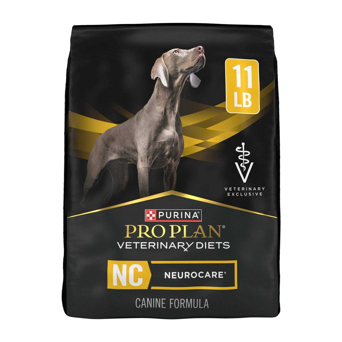 Dry Dog Food B958261