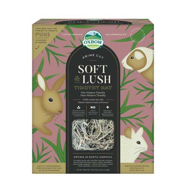 Timothy Hay Small Pet Food Q962