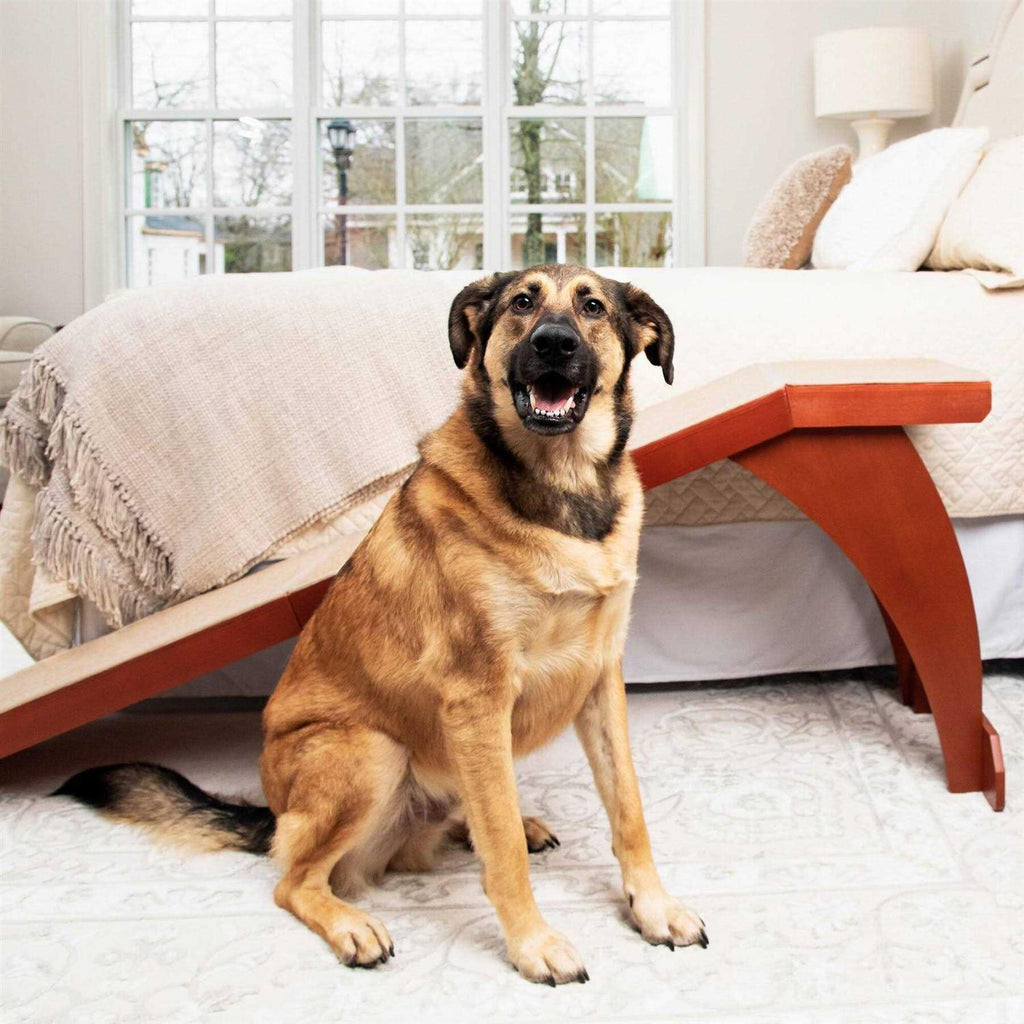 Pet Ramp J269444