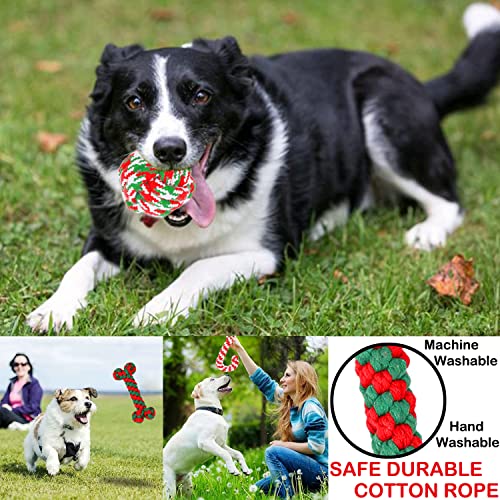 Christmas Dog Rope Toys 6 Pack X585
