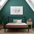 Black Metal Queen Platform Bed G64866