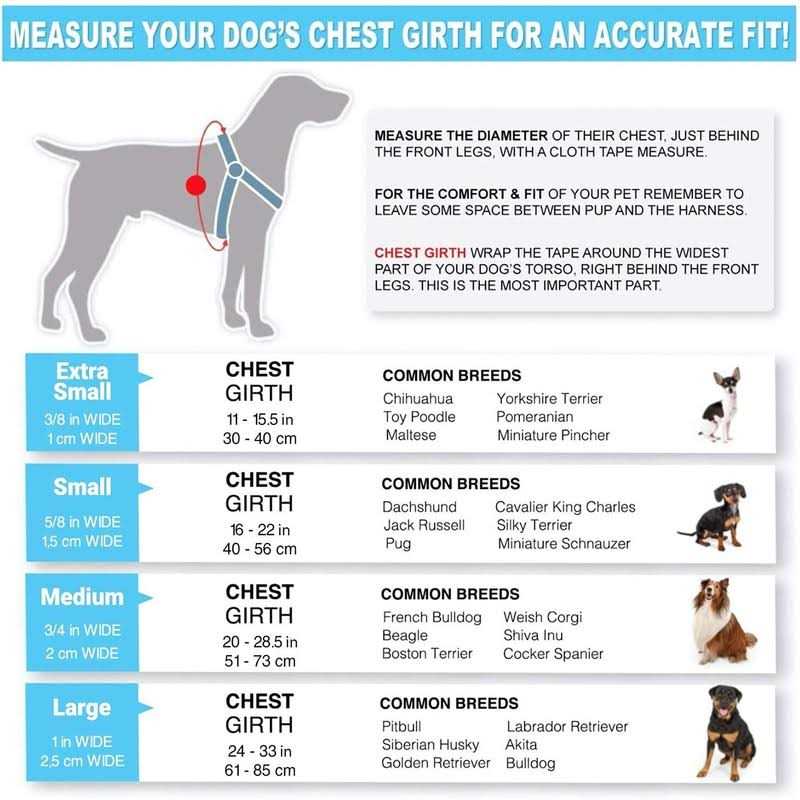 Reflective Step-in Dog Harness Z255