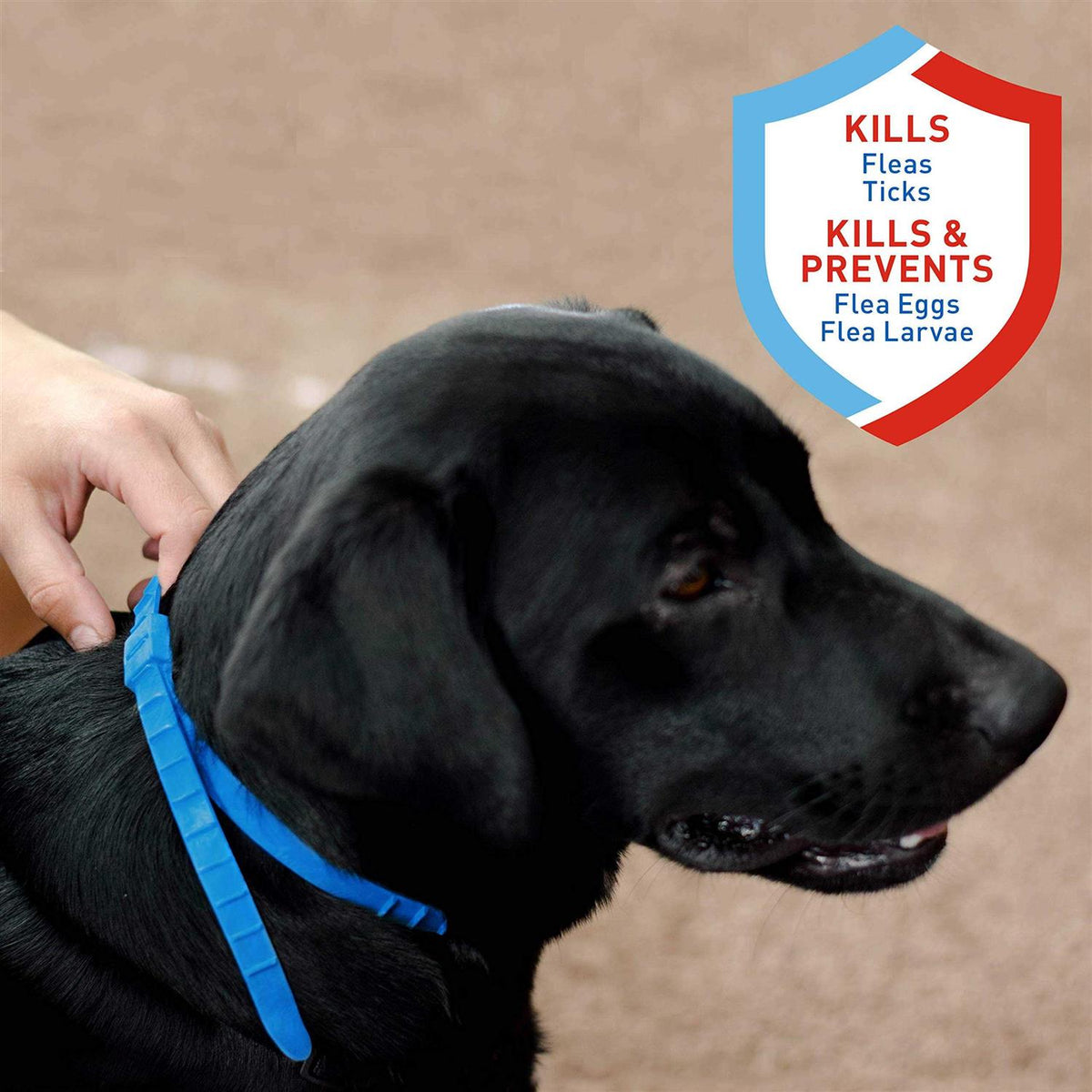Flea and Tick Collar For Dogs A9907