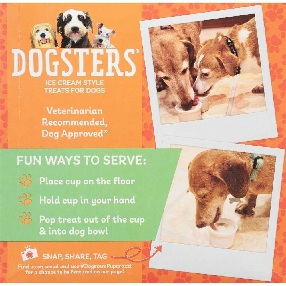 Ice Cream Style Treats for Dogs B3048