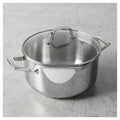 6 Qt. Stainless Steel Dutch Oven with Lid F48539