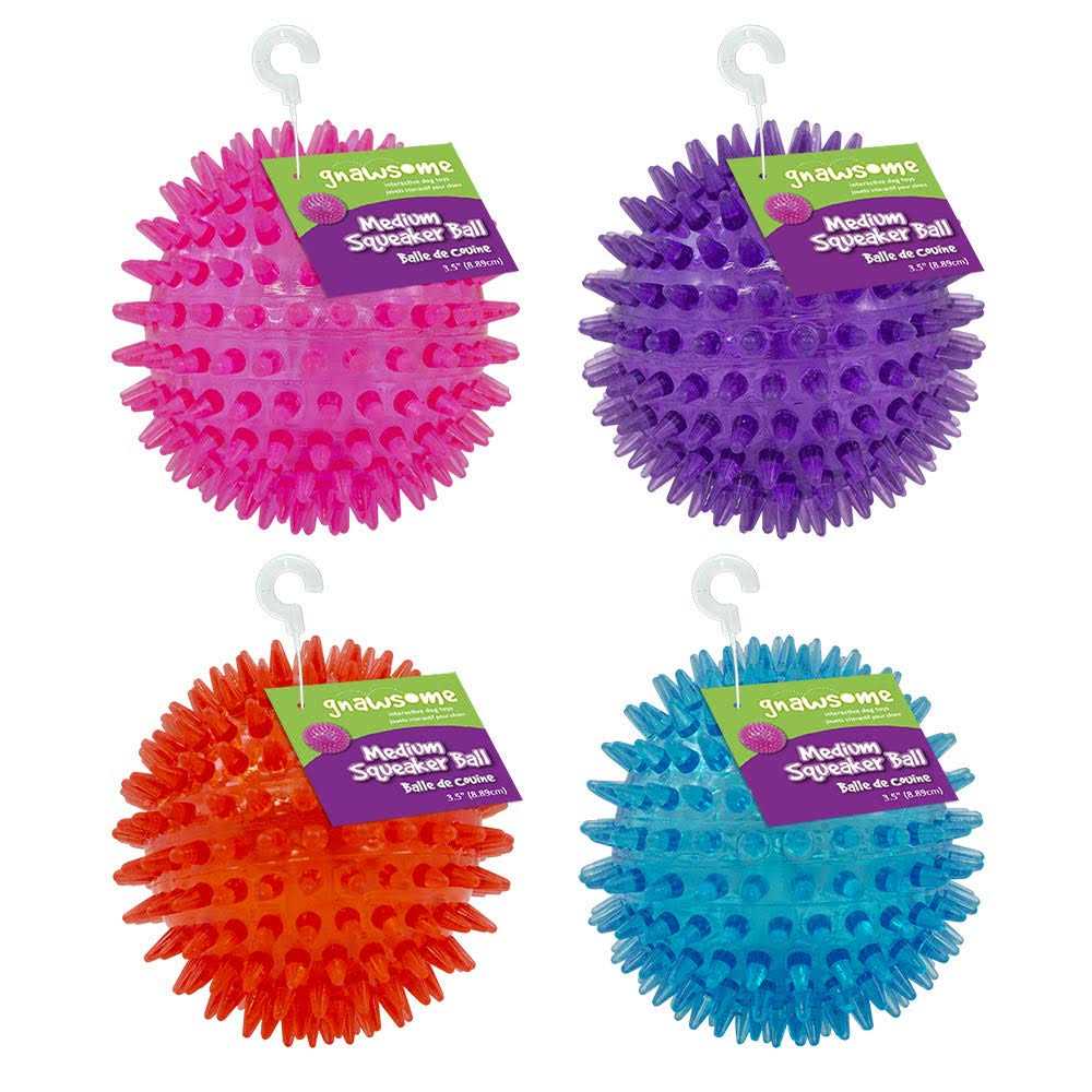 Squeaker Ball Dog Toy N462154