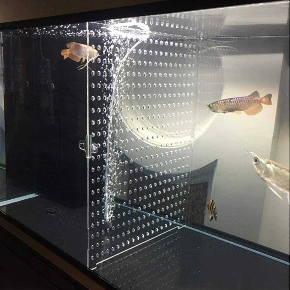 DIY Clear Fish Tank S3606
