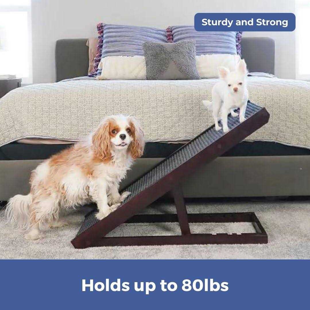 Natural Wood PawRamp for Small & Large Dogs U82142