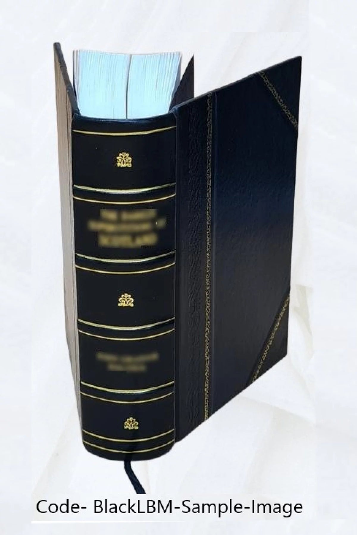 Illustrated Monthly Magazine R670