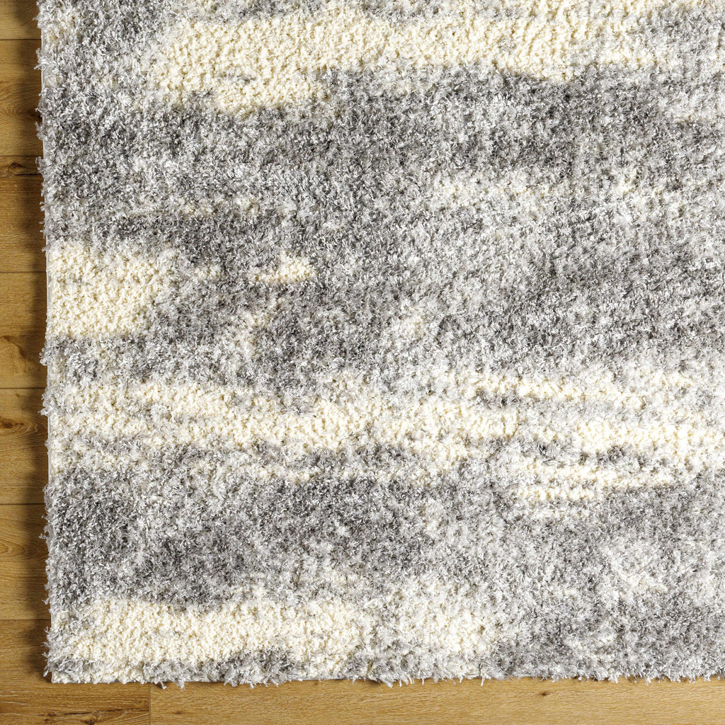 Gray Brown Plush Pile Area Rug 2' x 3' P8812