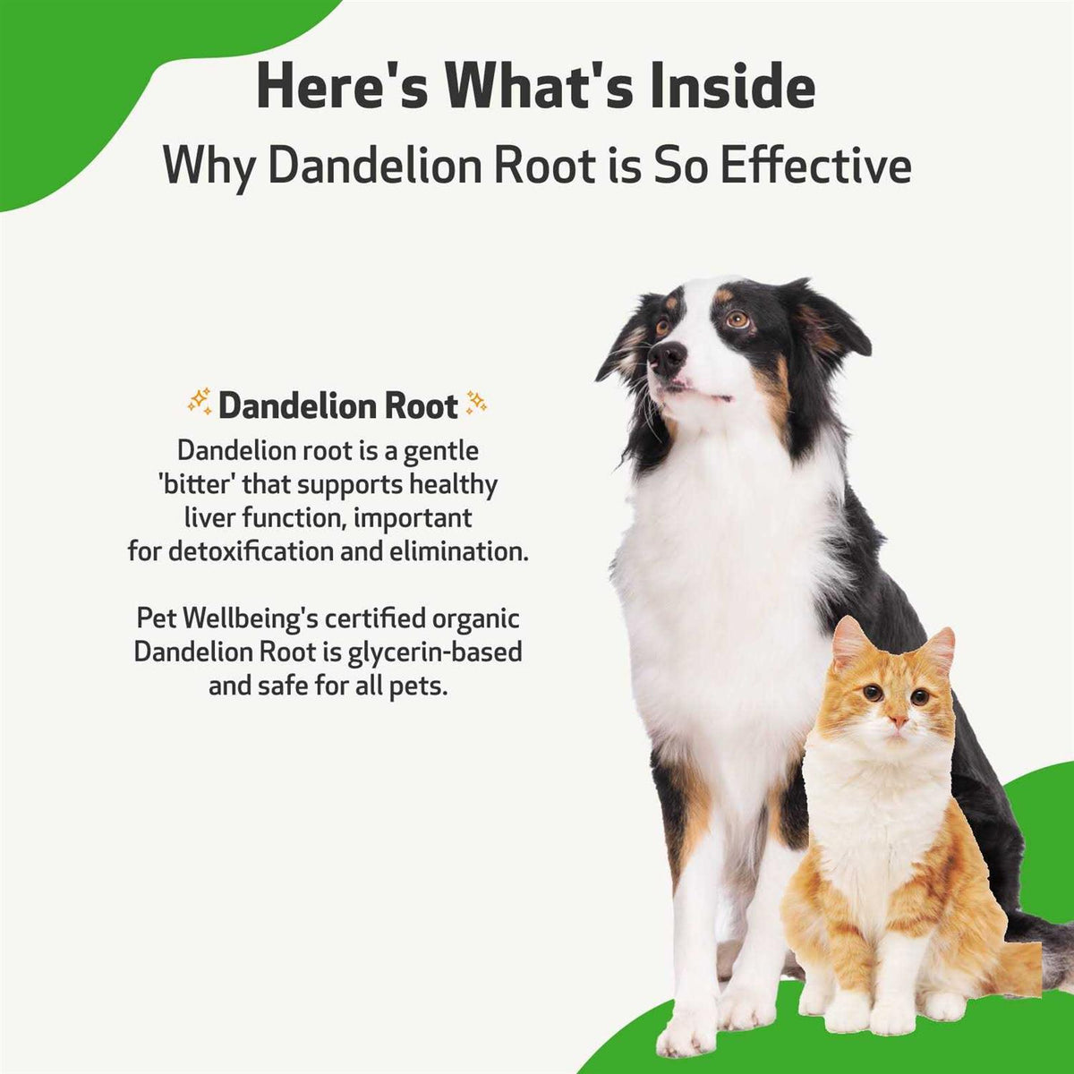 Dandelion Root Bacon Flavored Liquid Digestive & Liver Supplement for Cats & Dogs L986023