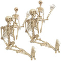 Life Size Posable Skeleton 2 Pack I28557