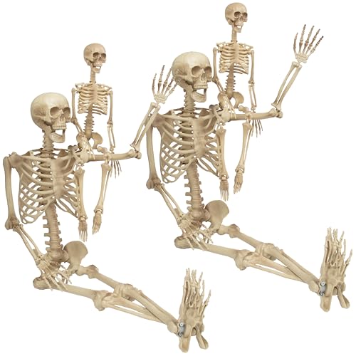 Life Size Posable Skeleton 2 Pack I28557