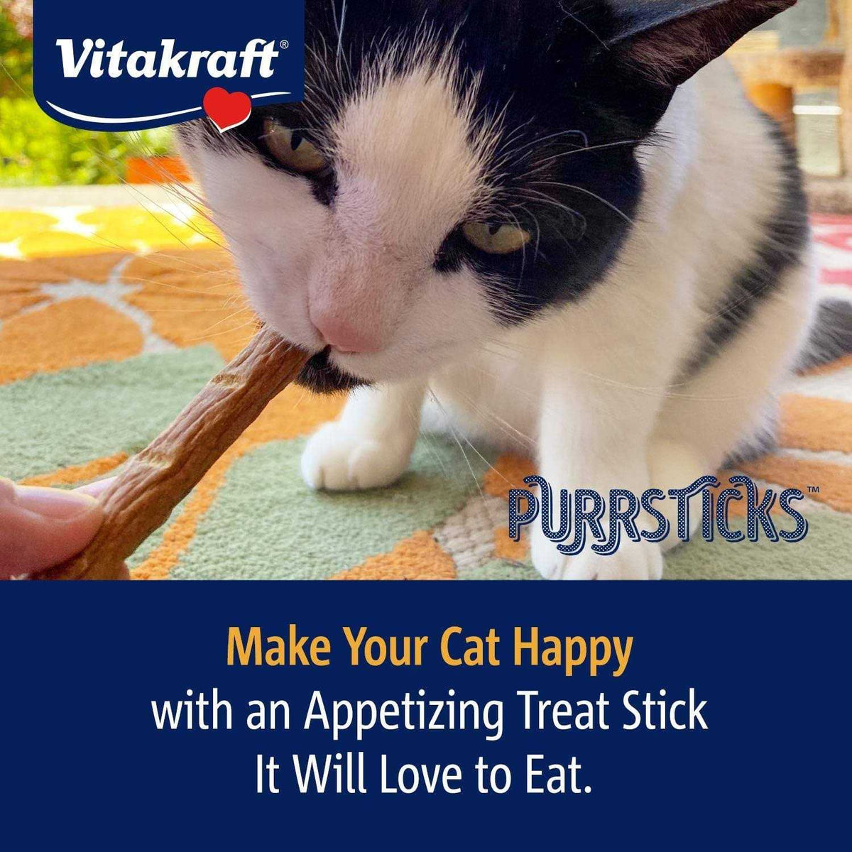 Chicken Cat Treats W1420