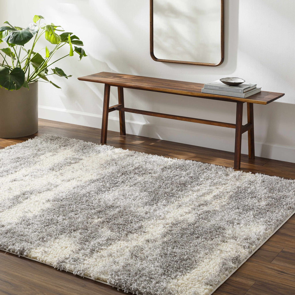 Gray Brown Plush Pile Area Rug 2' x 3' P8812
