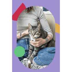 Immune Support Cat Treat X102577
