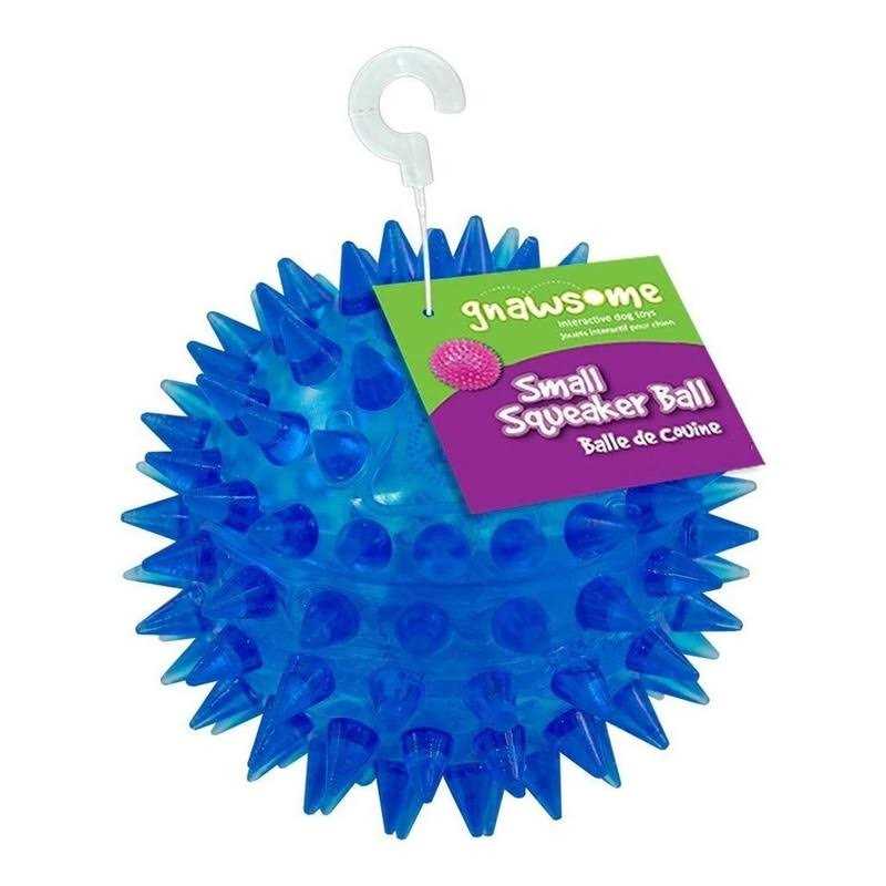 Squeaker Ball Dog Toy N462154