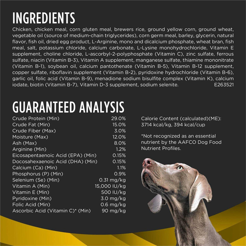 Dry Dog Food B958261