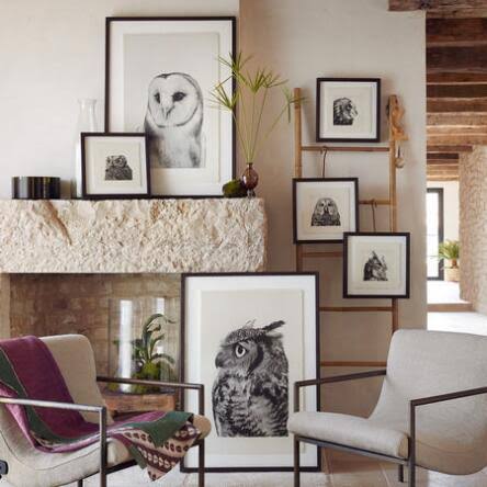 Owl Prints Large S158