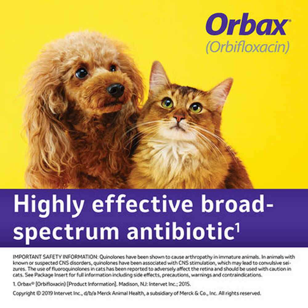 Oral Suspension for Dogs & Cats N223