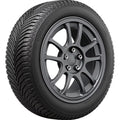 All Weather 225/55R17 101V XL SUV/Crossover Tire F114