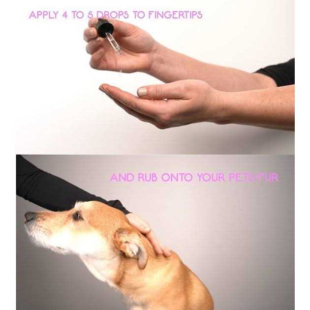 Essential Oil Joint Relief for Dogs K236248