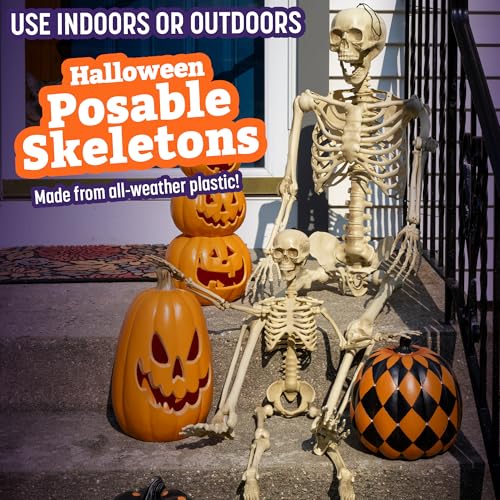 Life Size Posable Skeleton 2 Pack I28557