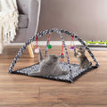 Foldable Cat Activity Center J147