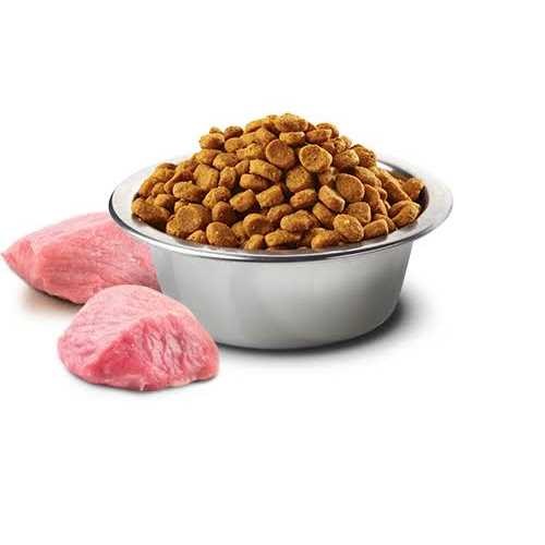 Salmon Adult Dog Food H49483