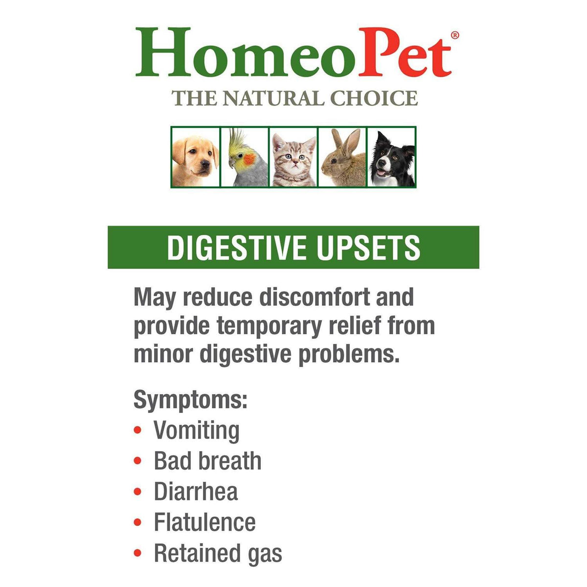 Pet Supplies C619