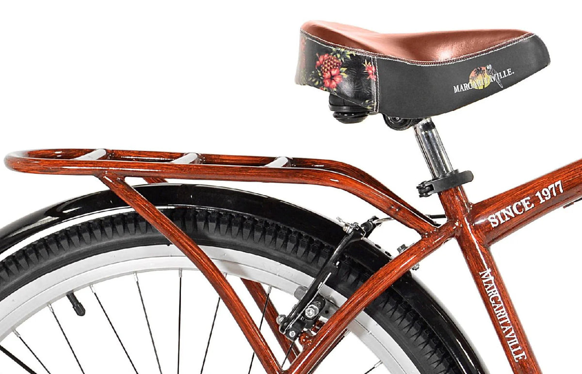 Cruiser Bike F387560