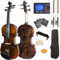 Solid Wood Full Size Violin with Case D6227