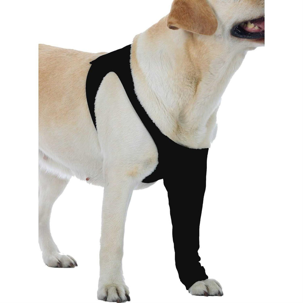 Dog Recovery Sleeve V520223