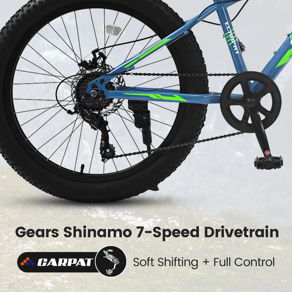 24 inch Fat Tire Mountain Bike A309885