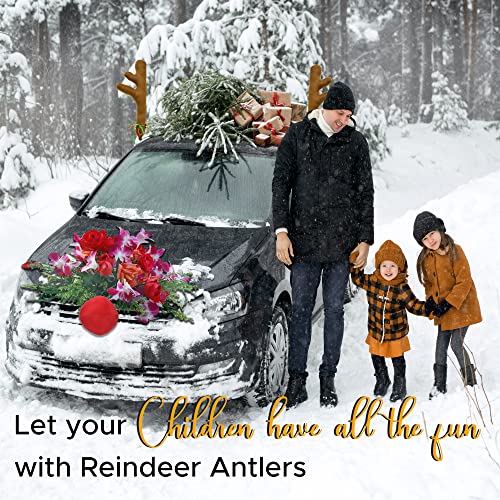 Car Reindeer Antlers & Nose Christmas Decoration Kit S280