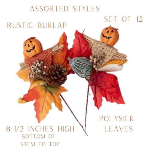Set of 12 Assorted Pumpkin Face Picks 8-1/2 Inches High A314
