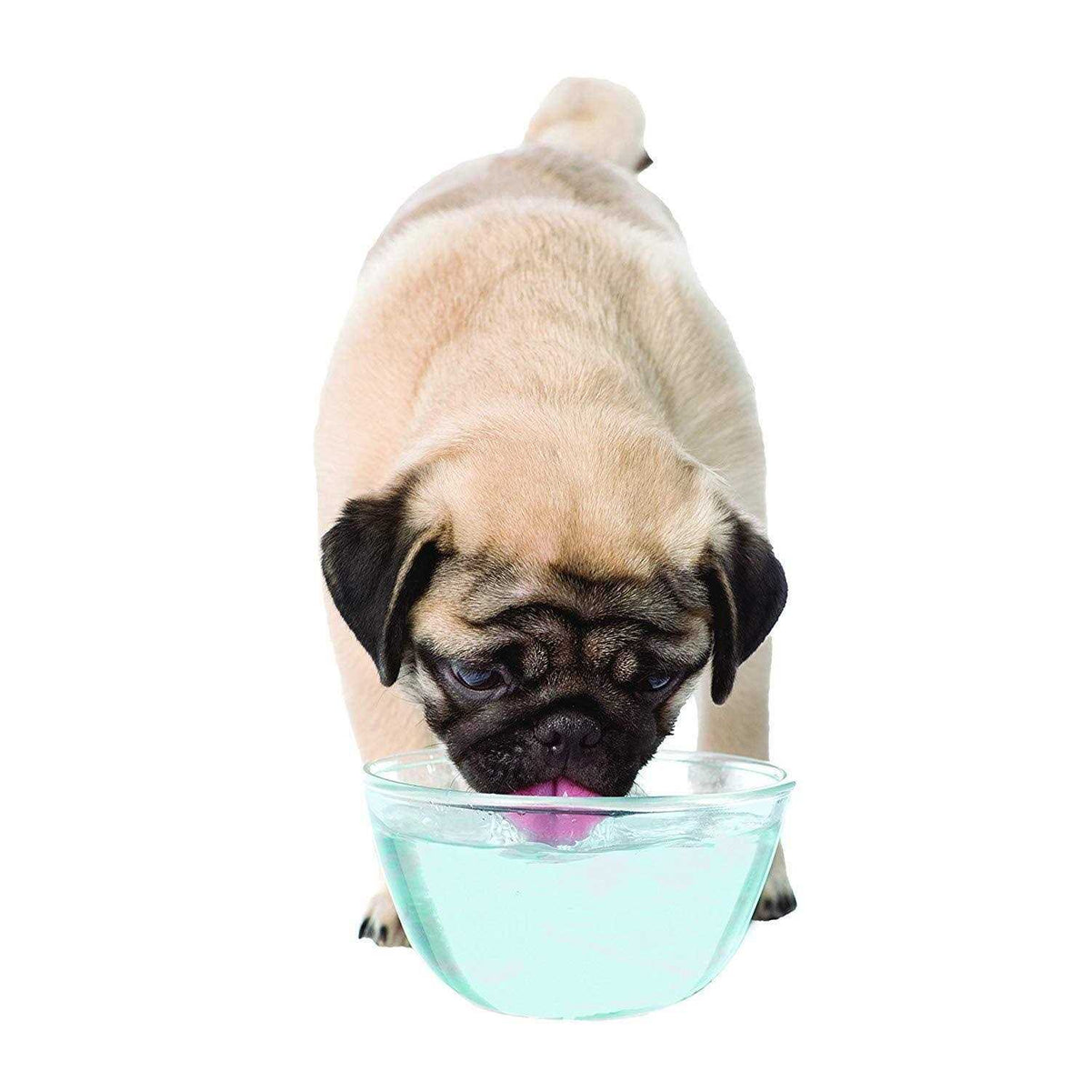 Liquid Tartar Remover Water Additive for Dogs M952