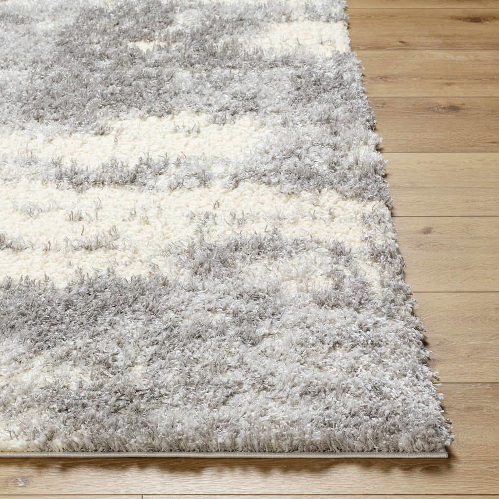 Gray Brown Plush Pile Area Rug 2' x 3' P8812