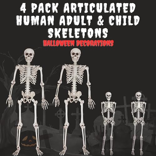 Life Size Posable Skeleton 2 Pack I28557