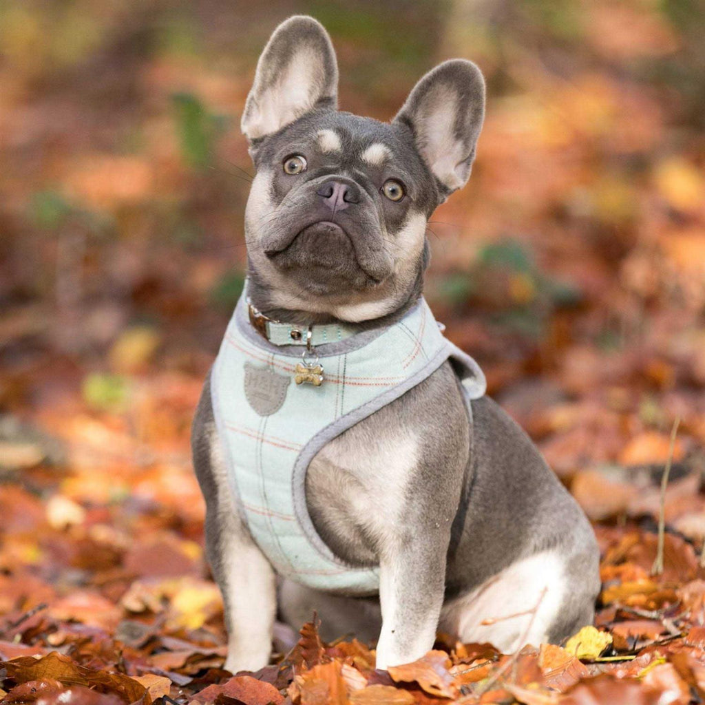 Tweed Dog Harness Vest U555