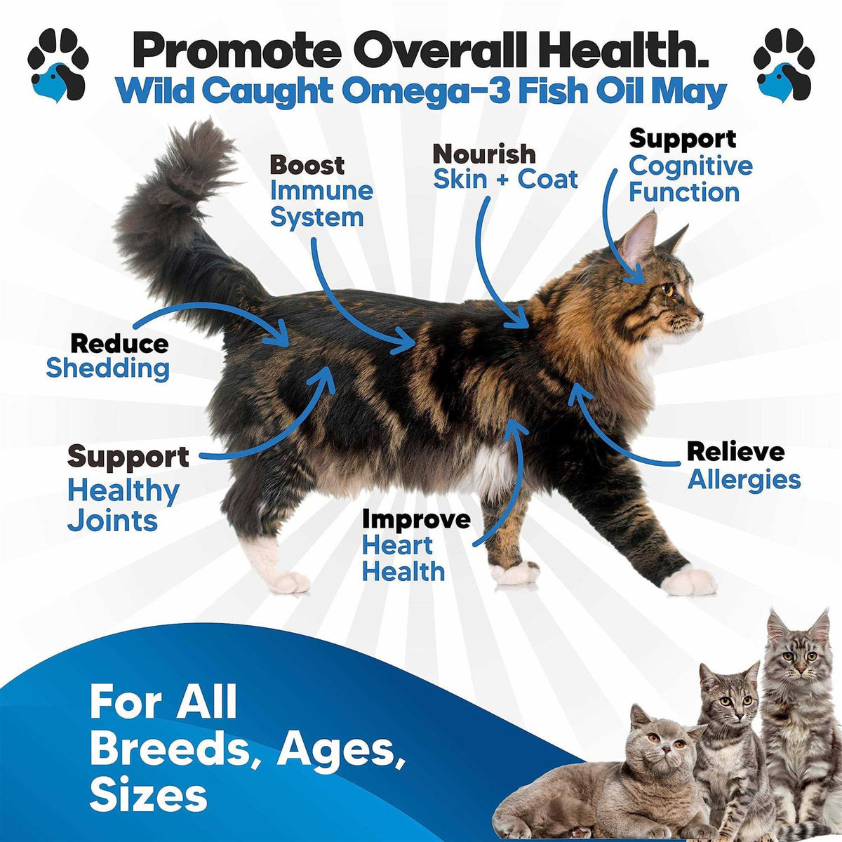 Omega 3 Fish Oil for Cats R487