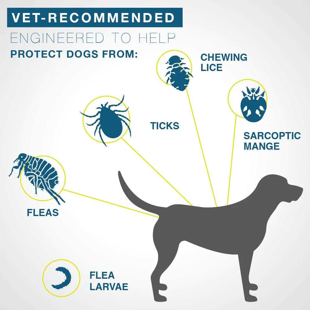 Flea and Tick Collar for Large Dogs Over 18 Pounds S805144