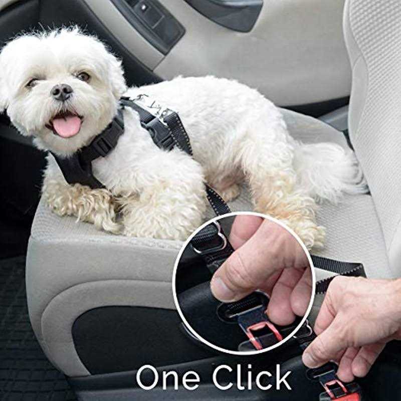 Double Sided Dog Grooming Brush V121