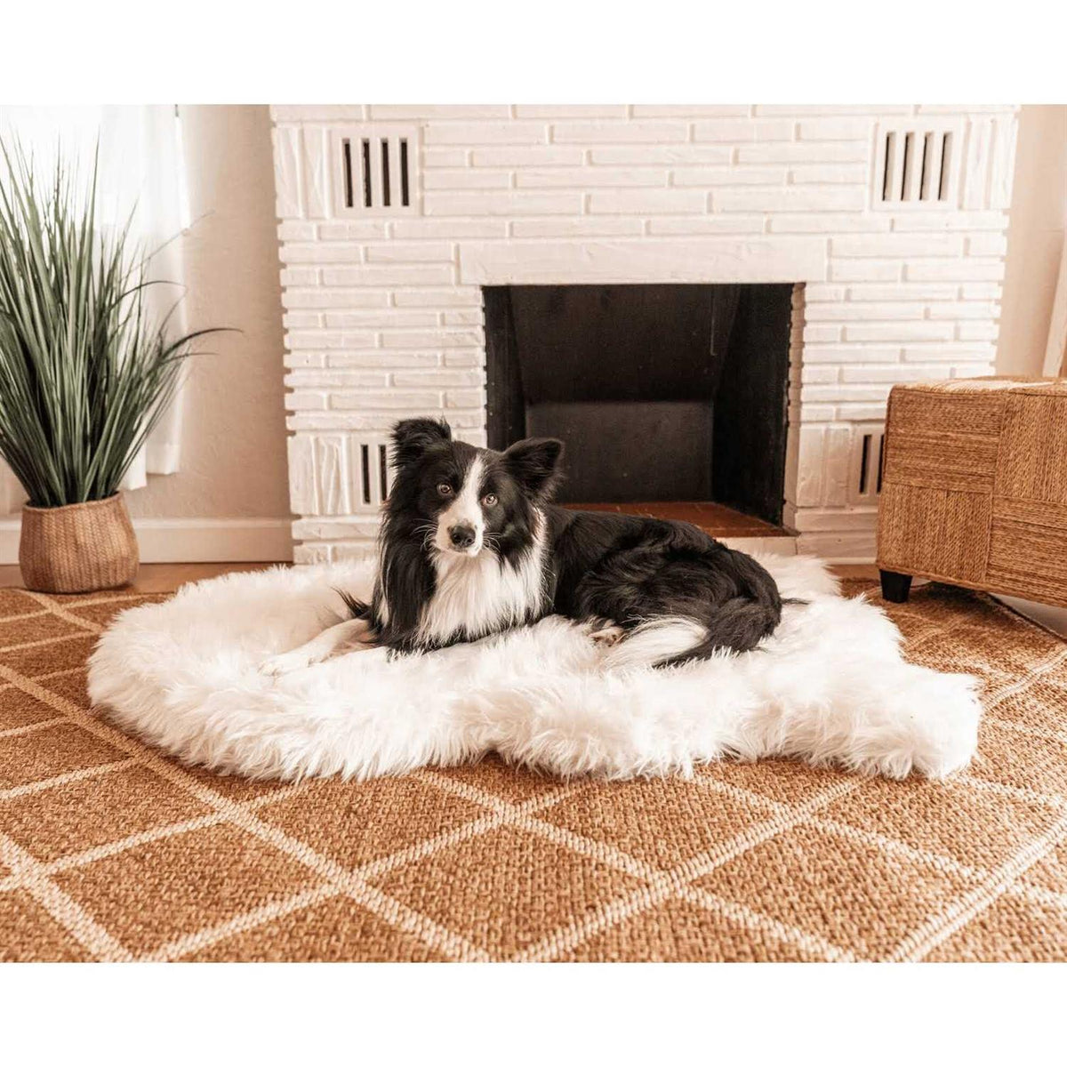 Faux Fur Orthopedic Dog Bed J3777