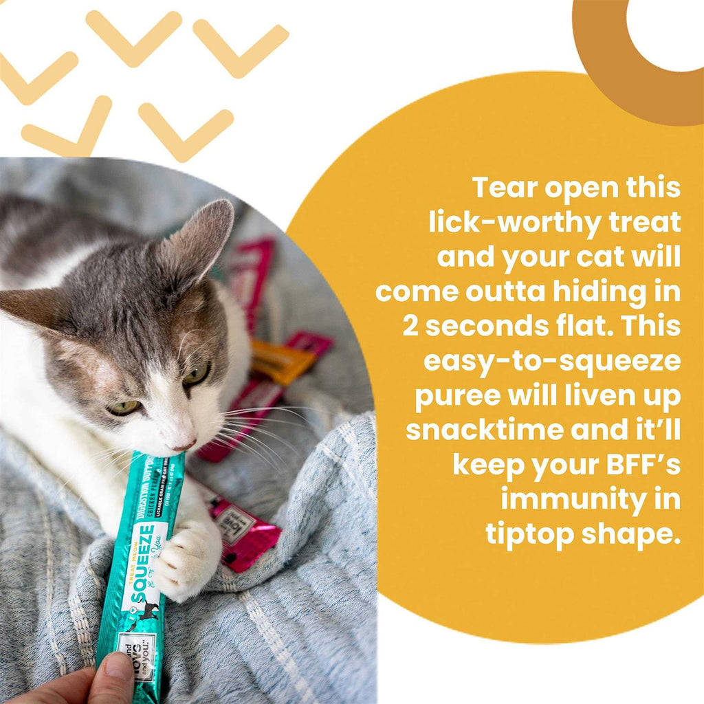 Immune Support Cat Treat X102577