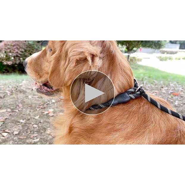 6 FT Reflective Slip Lead Dog Leash with Padded Handle I511