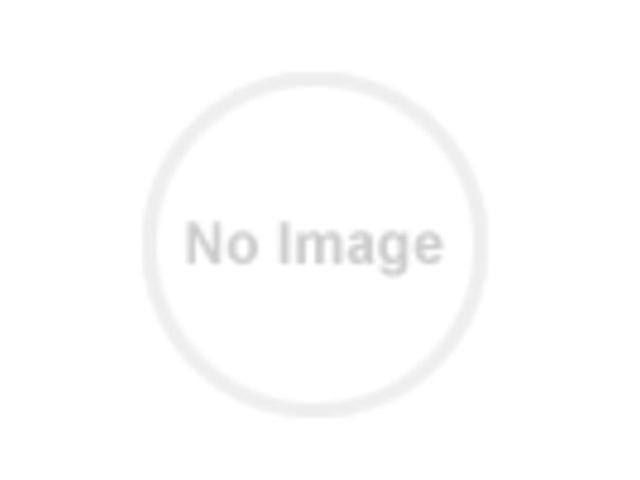 Vertical Cable Manager R525617