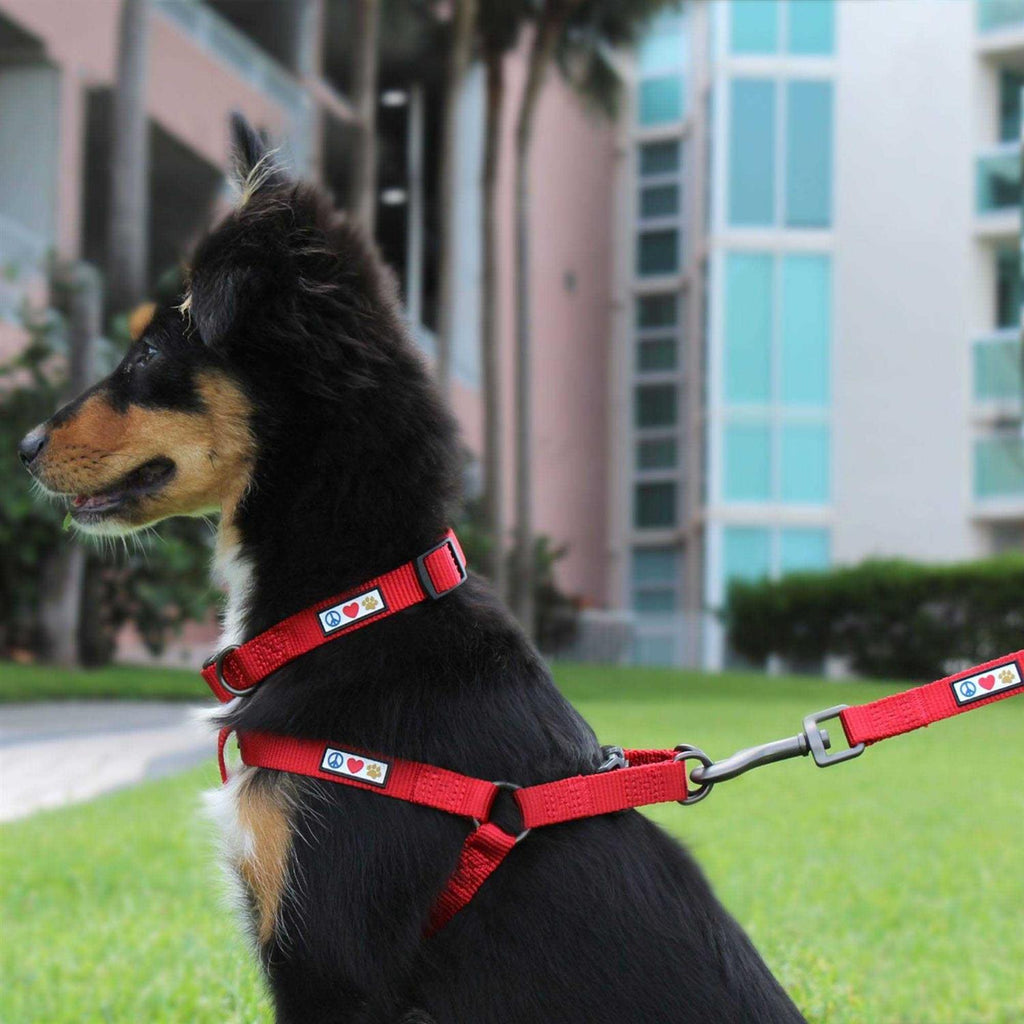 Reflective Step-in Dog Harness Z255