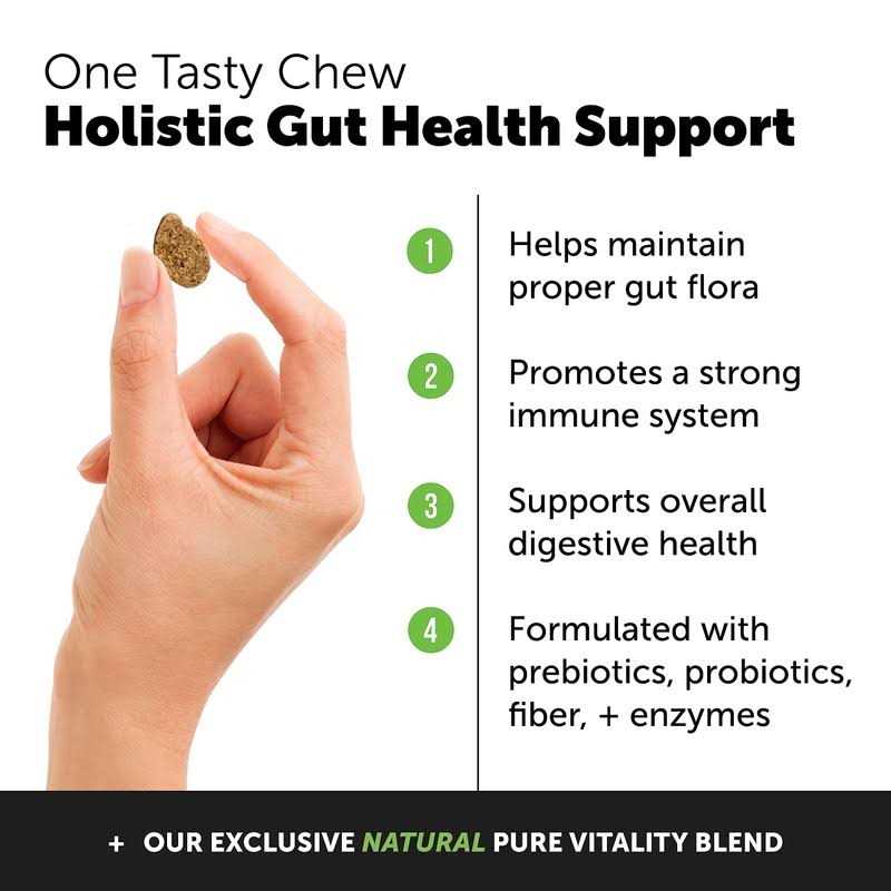 Probiotics for Dogs Digestive Enzymes N650