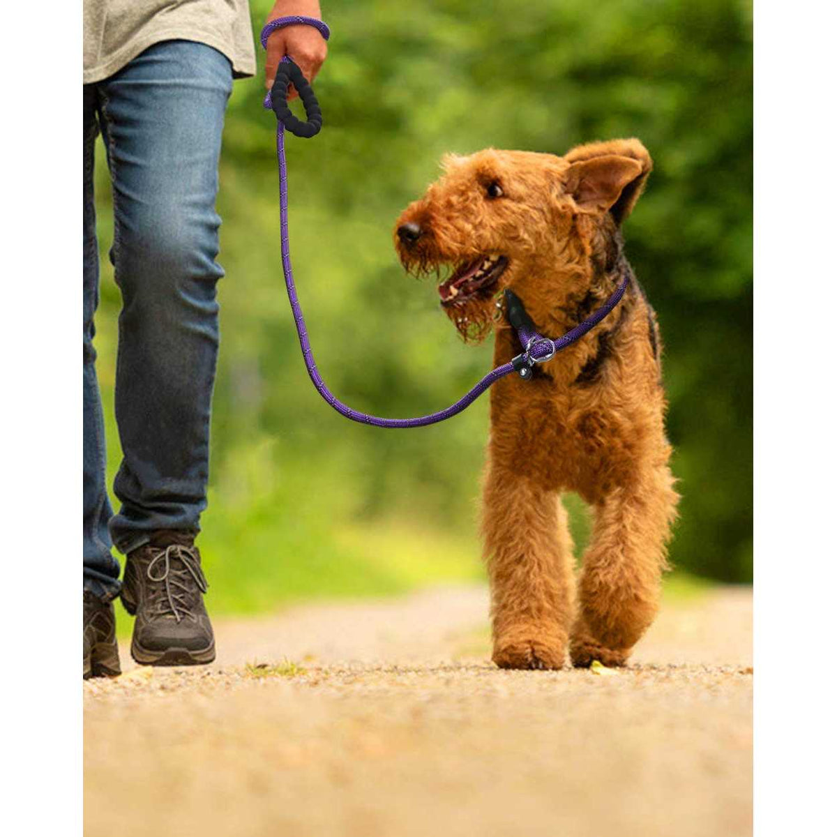 6 FT Reflective Slip Lead Dog Leash with Padded Handle I511